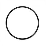 Прокладка Pentair (Pentek) Slim Line (151117)